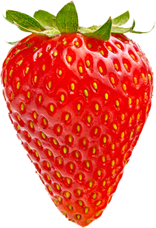 materne fraise